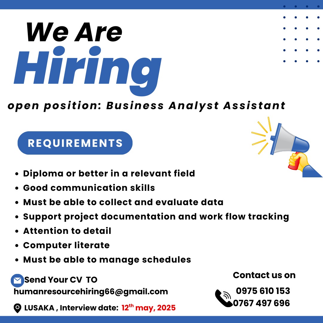 Business Analyst Assistant